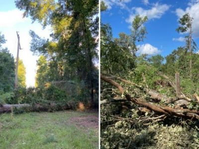 picture of storm damage and downed trees